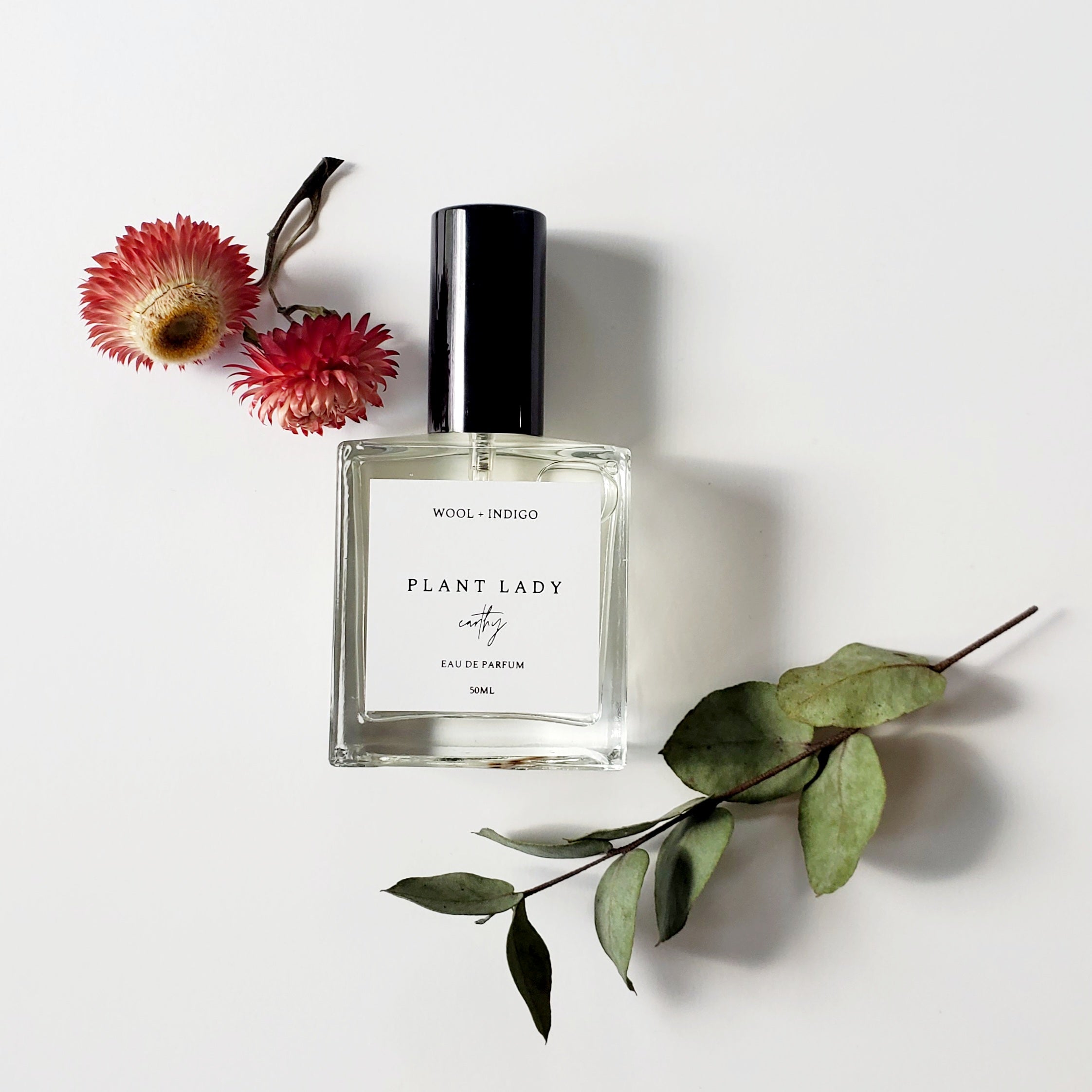 succulent perfume Plant Lady Eau de Parfum